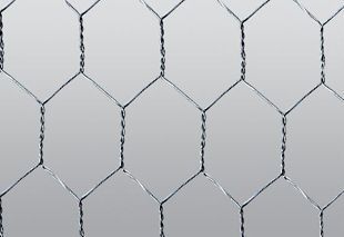六角網(wǎng)產(chǎn)品圖片,六角網(wǎng)產(chǎn)品相冊