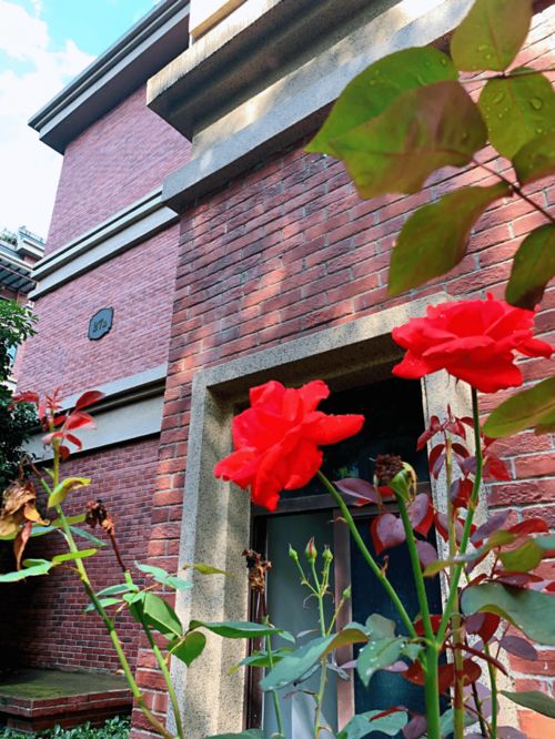 金河灣1881 藏不住了 不是每個小區(qū)都有這樣的雨后景色